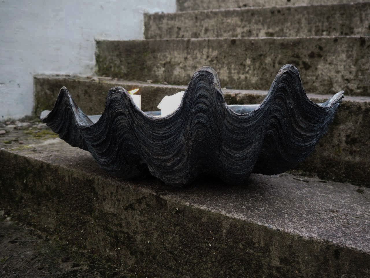 Puerto Galera Klamskjell/ Clam shell SVART 1