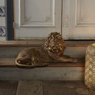 Løven Mufaso, liggende, gold 1