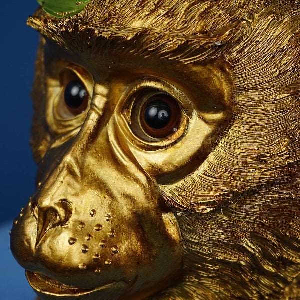 Bruce plantepotte 3