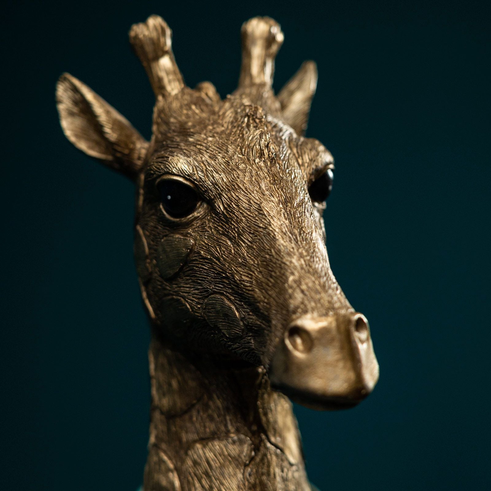 Greve Giraffe Buste 4