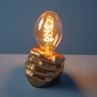 LED spiral filament bulb, vintage look 1