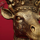 Lucie Giraffe plantepotte i gull   2