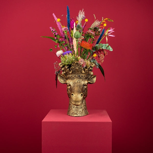 Lucie Giraffe plantepotte i gull   1