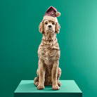 Julehunden Santa Dog 1