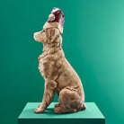 Julehunden Santa Dog 2