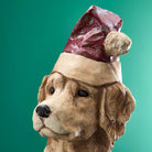 Julehunden Santa Dog 5