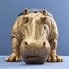 Patty Potamus Krakk 2