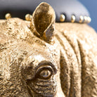 Patty Potamus Krakk 5