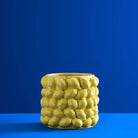 Plantepotte Lemon  1