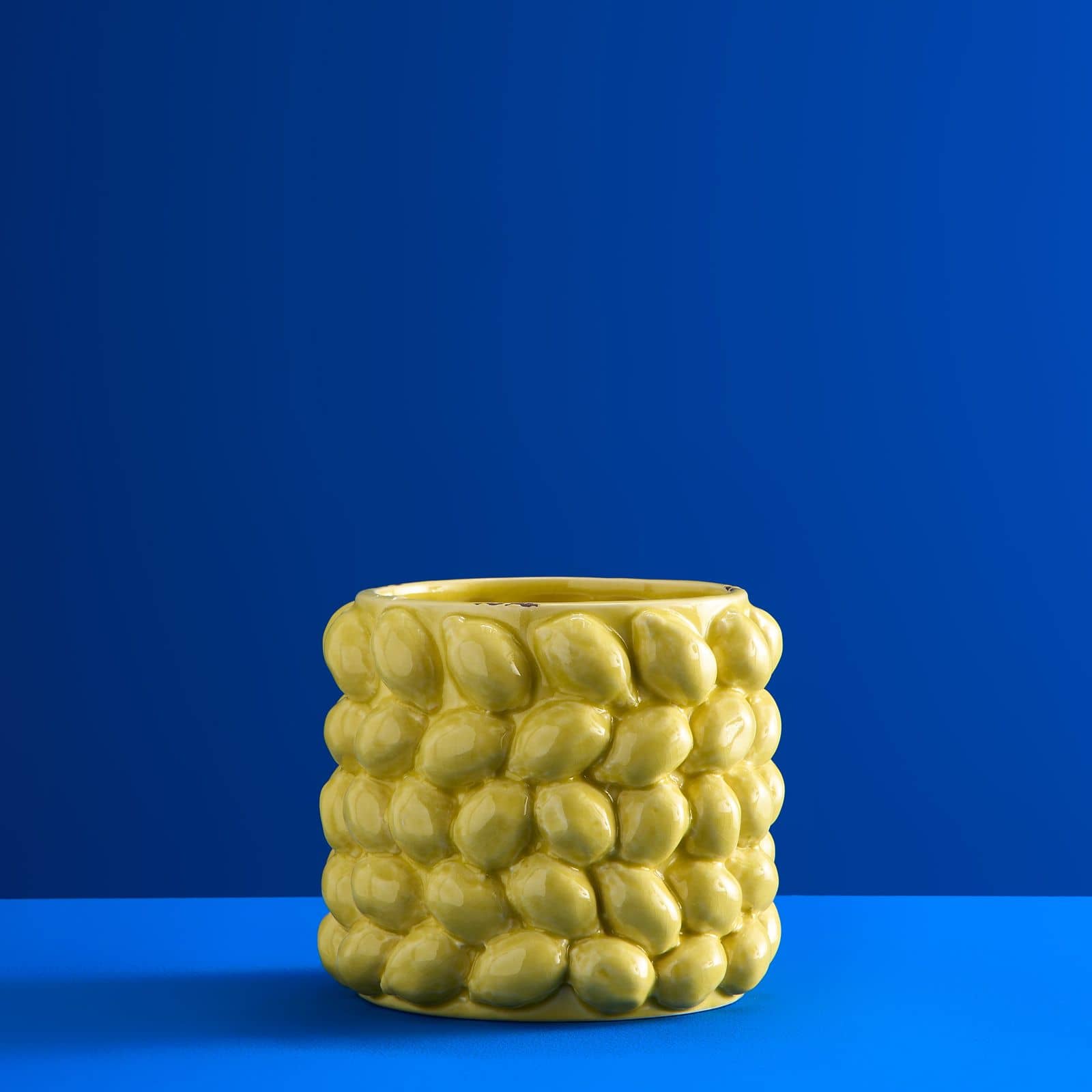 Plantepotte Lemon  1