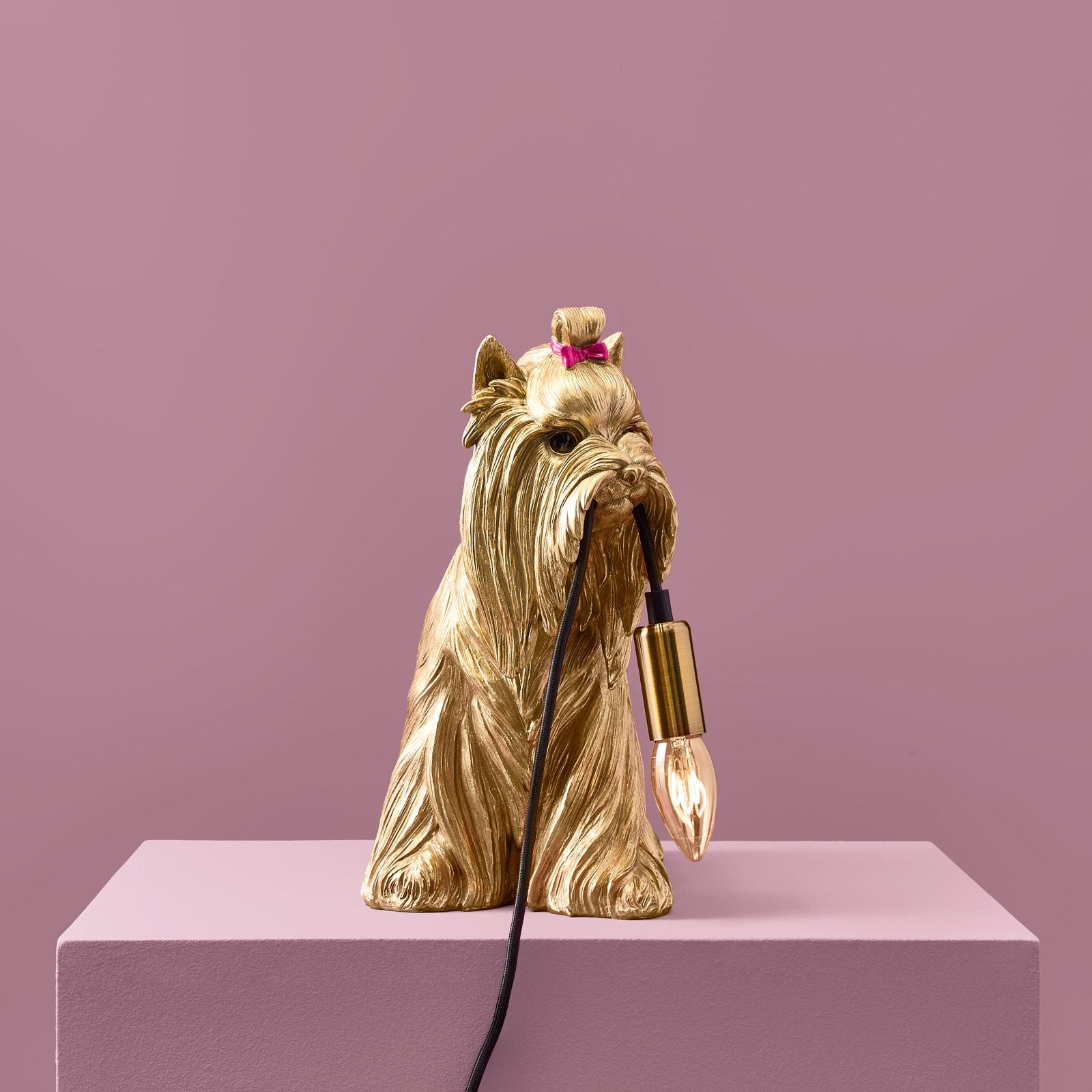 Hunden Daisy bordlampe 4