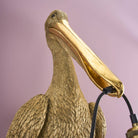 Pelikanen Pelikanus veggampe 7