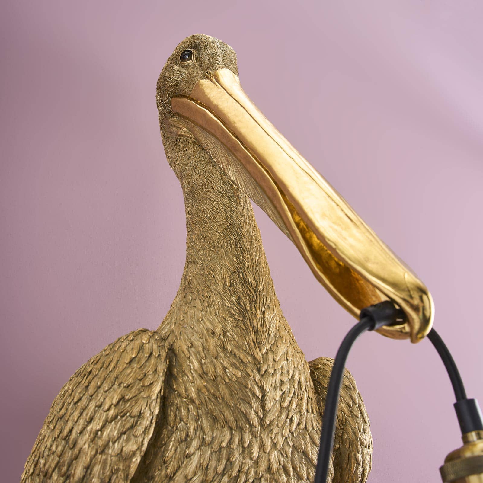 Pelikanen Pelikanus veggampe 7