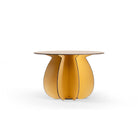 Parodia Magnifica Gull 80/60/55cm 5