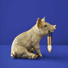 Piggy Pig Bordlampe 4