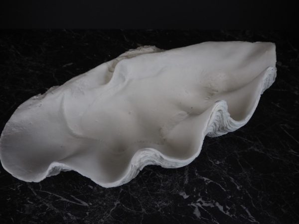 Puerto Galera Klamskjell/ Clam shell HVIT 3