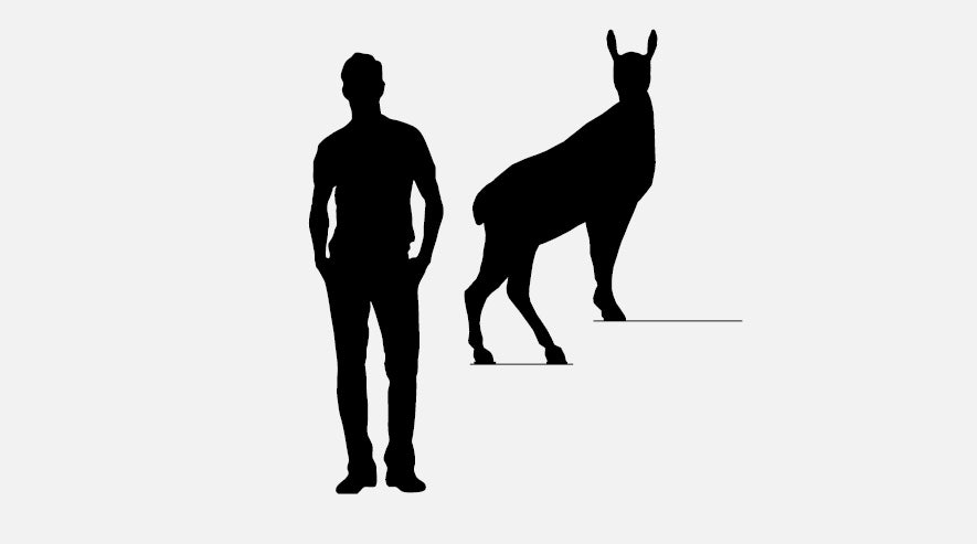 Horace Gold  bokhylle- Mobilier de Compagnie 6