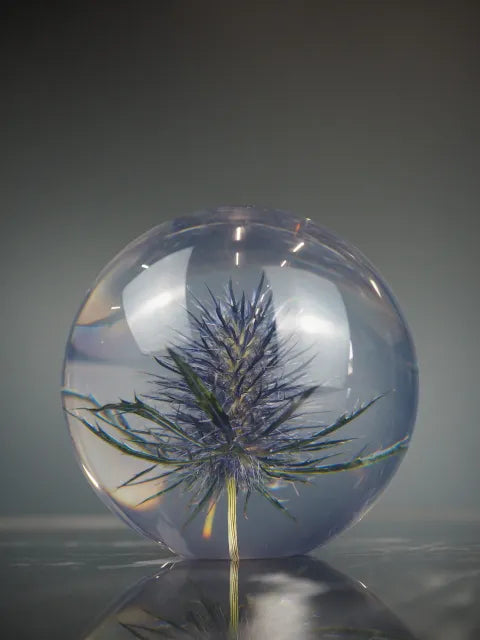 Eryngo borddekorasjon 1