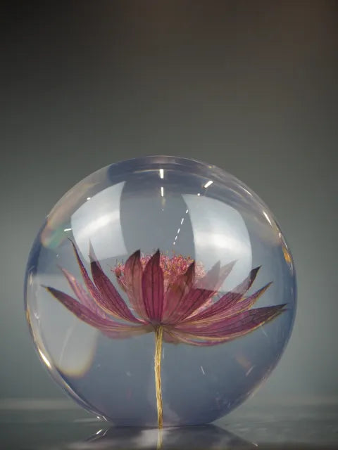 Astrantia borddekorasjon 1