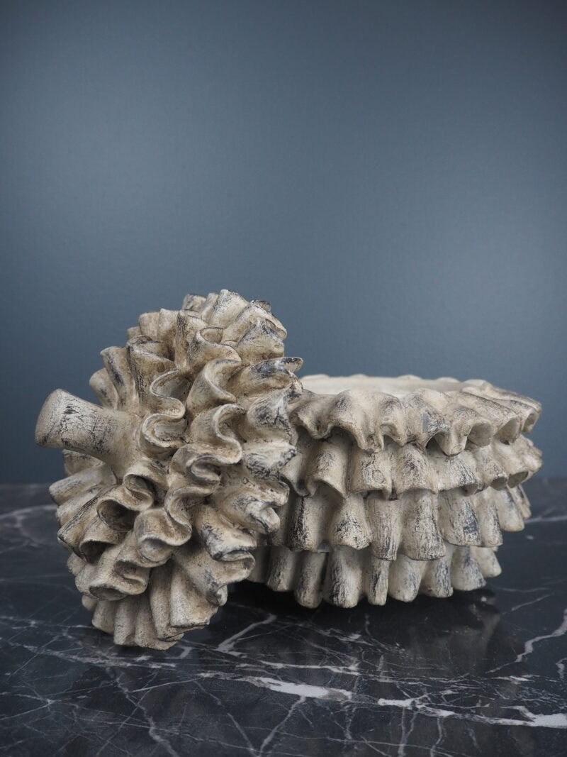 Konglekrukke med lokk, Beige 2