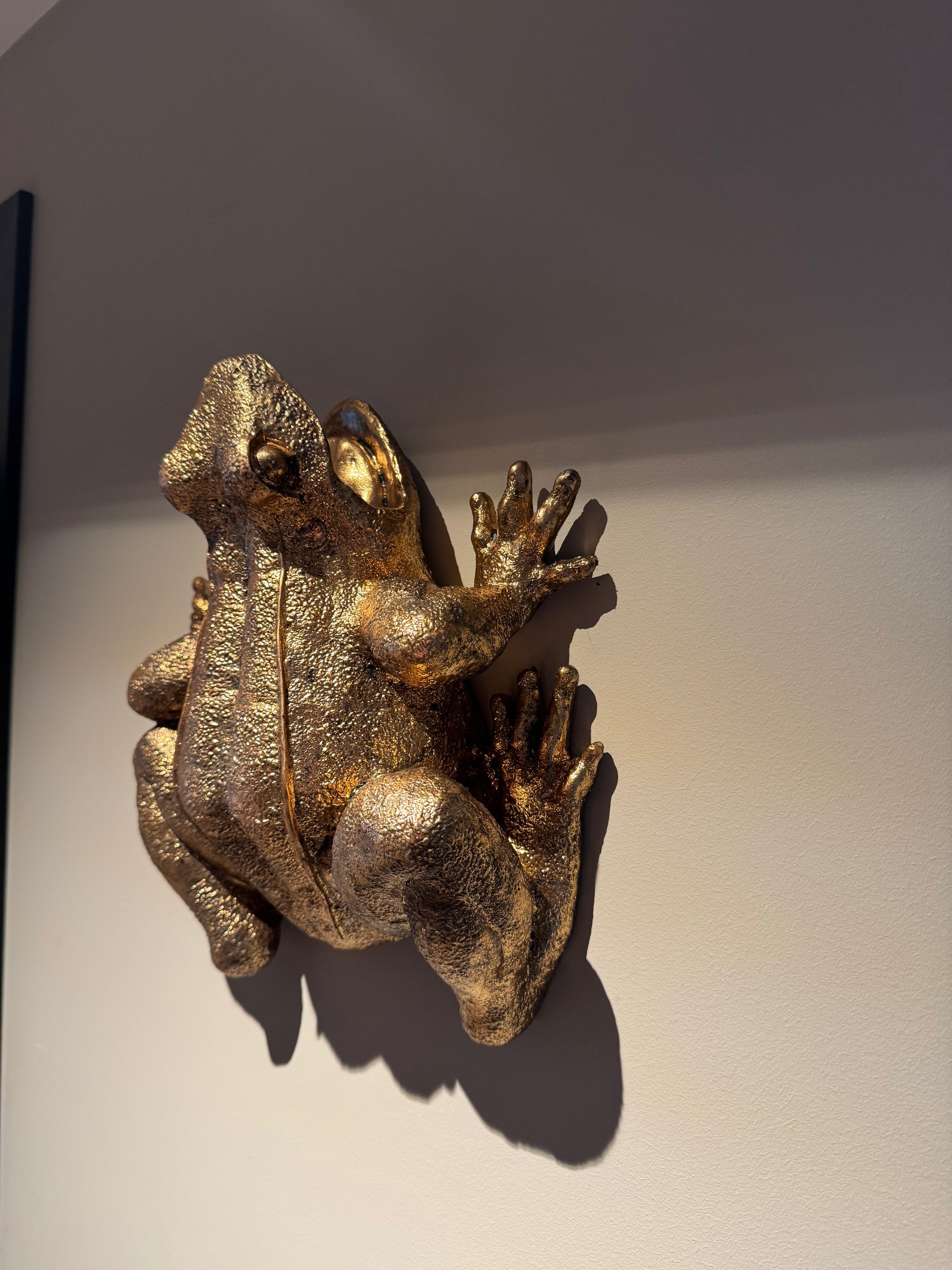 Frosken Fiona veggvase 3