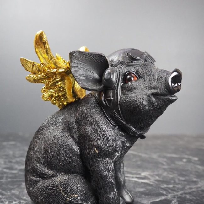 Flying Pig 1