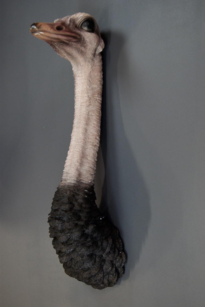 Strutsehode Veggdekor 1