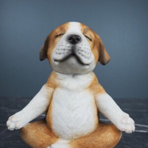 Yoga Puppy 1
