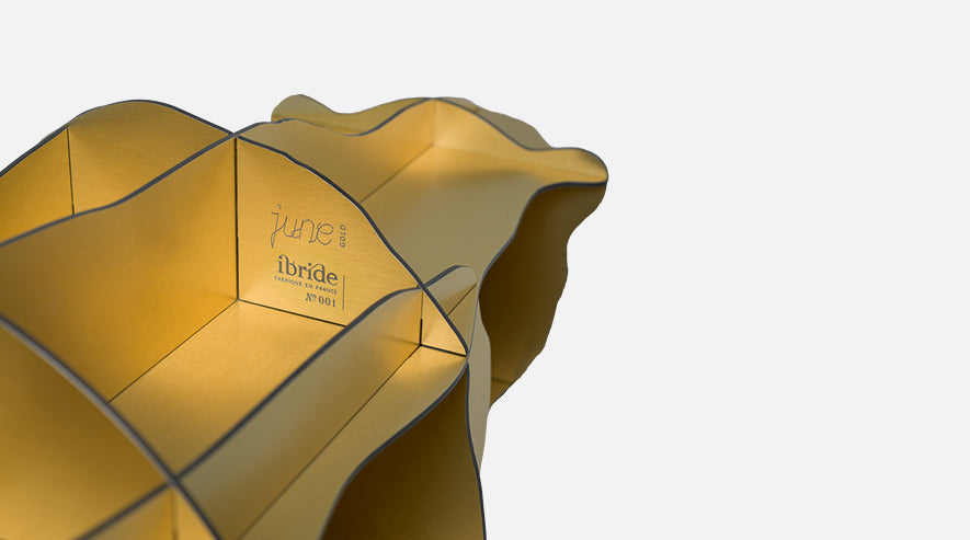 June Gold bokhylle - Mobilier de Compagnie 3