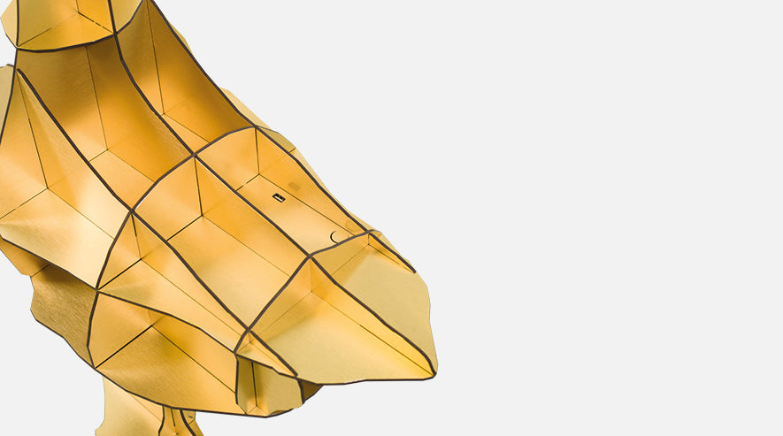 Junon Gold- Mobilier de Compagnie 4