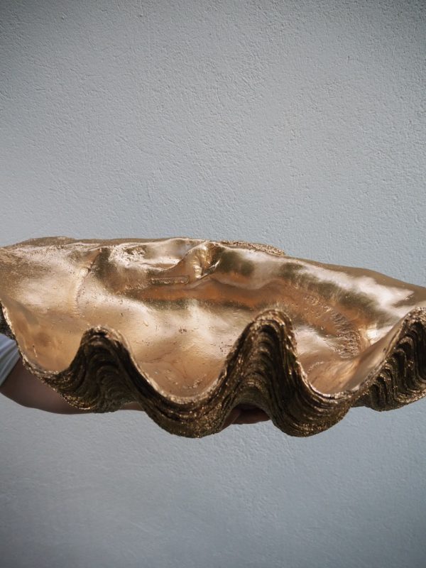 Puerto Galera Klamskjell/ Clam shell GULL 2