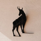 Horace - Mobilier de Compagnie 2