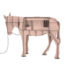 Maturin skrivebord - Mobilier de Compagnie 19