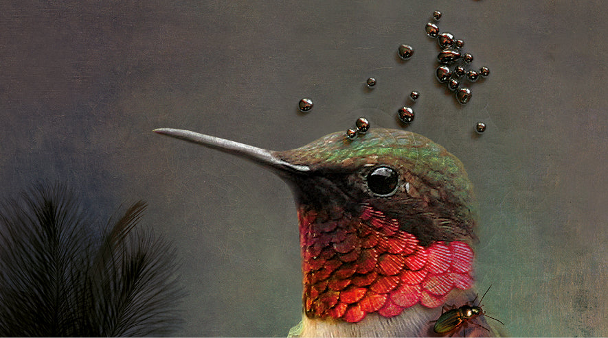 Portrett Ambroise M 4