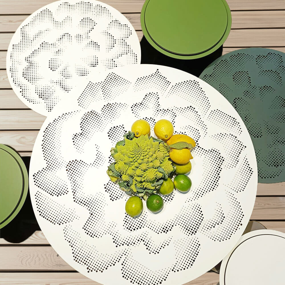 Parodia Magnifica utebord Ø55cm 5