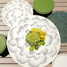 Parodia Magnifica utebord Ø60cm 6