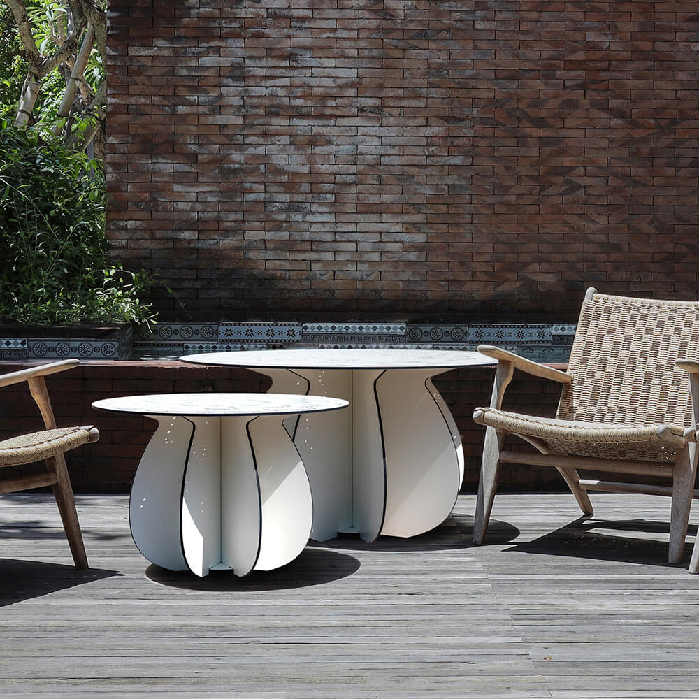 Parodia Magnifica utebord Ø55cm 1