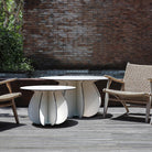 Parodia Magnifica utebord Ø55cm 1