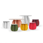 Parodia Magnifica utebord Ø60cm 3