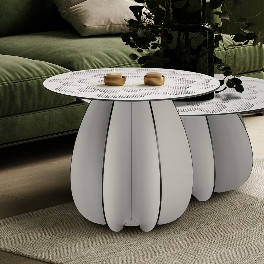 Parodia Magnifica utebord Ø60cm 7