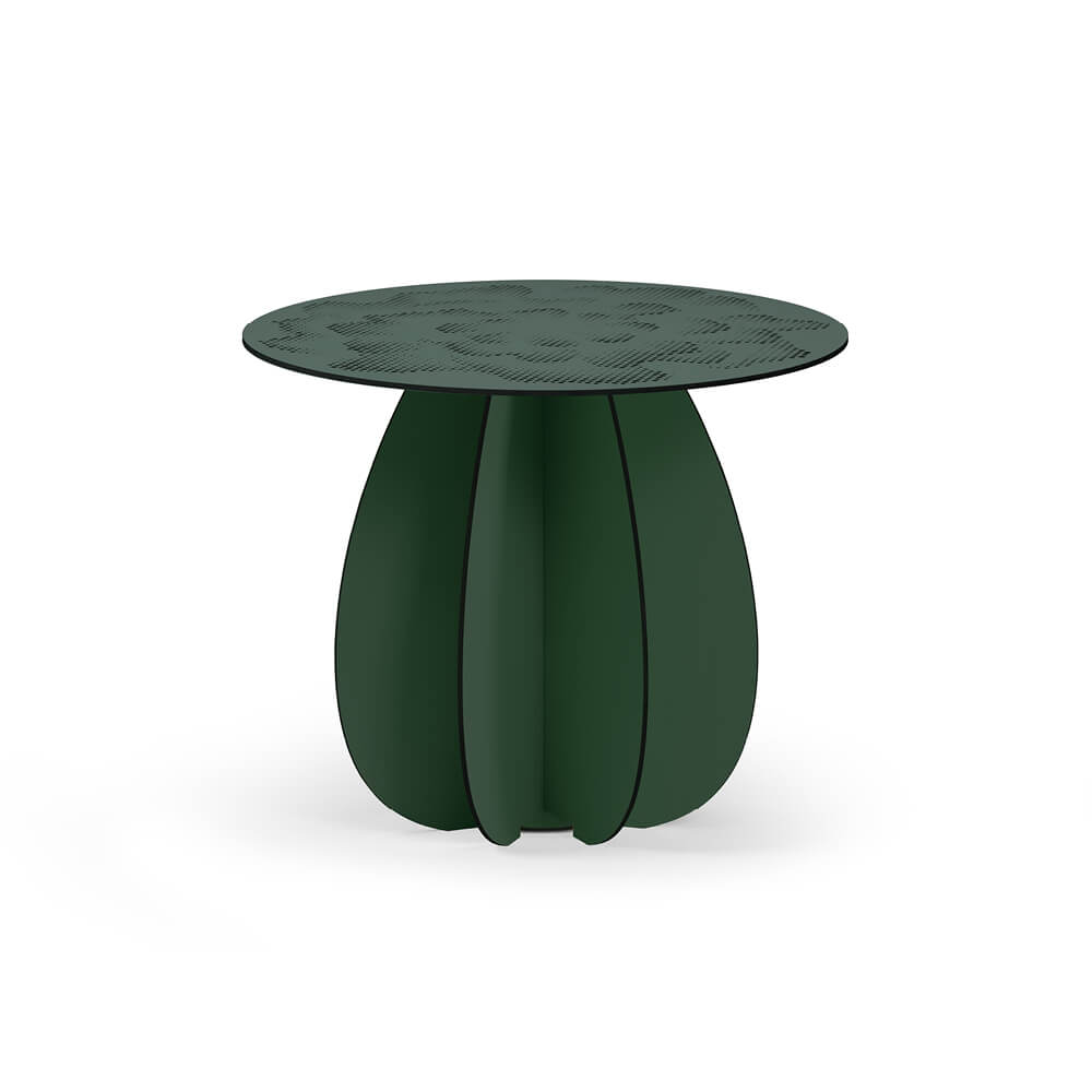 Parodia Magnifica utebord Ø60cm 10