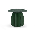 Parodia Magnifica utebord Ø60cm 10