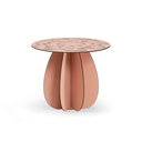 Parodia Magnifica utebord Ø60cm 4