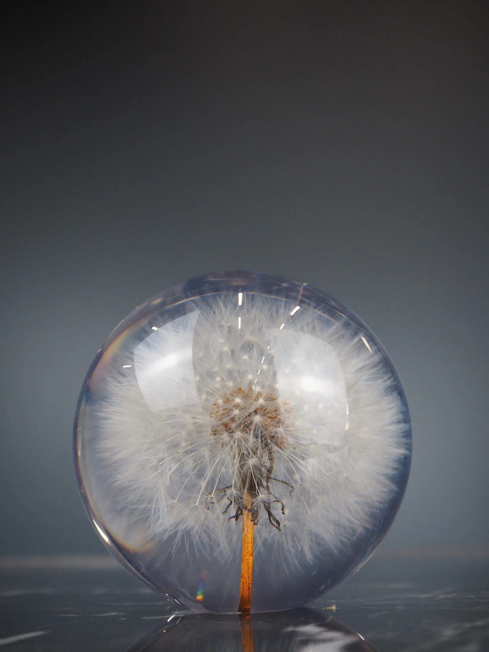 Løvetann borddekorasjon 1