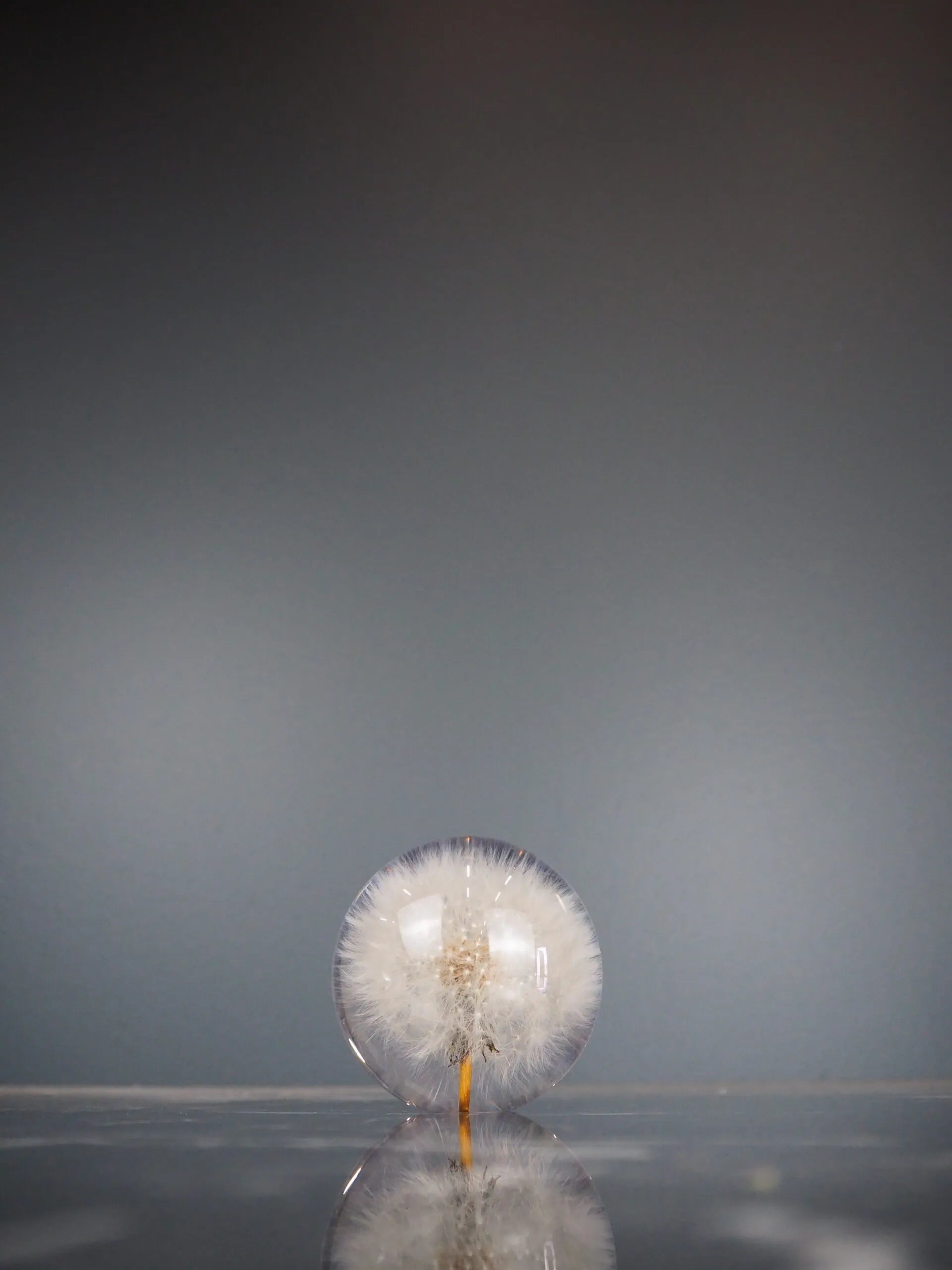 Løvetann borddekorasjon 2