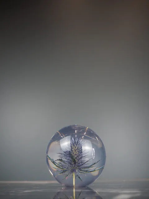 Eryngo borddekorasjon 2