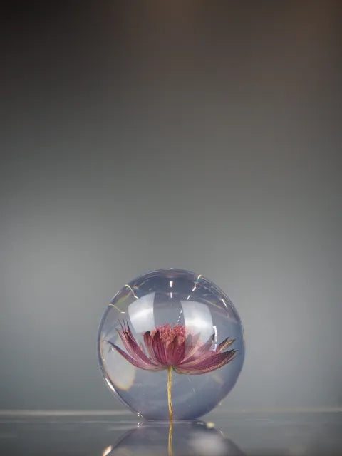 Astrantia borddekorasjon 2