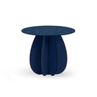 Parodia Magnifica utebord Ø60cm 13