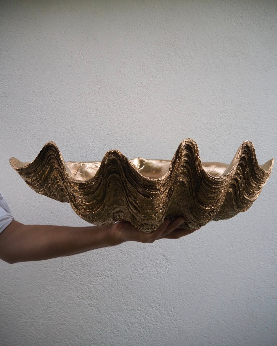 Puerto Galera Klamskjell/ Clam shell GULL 1