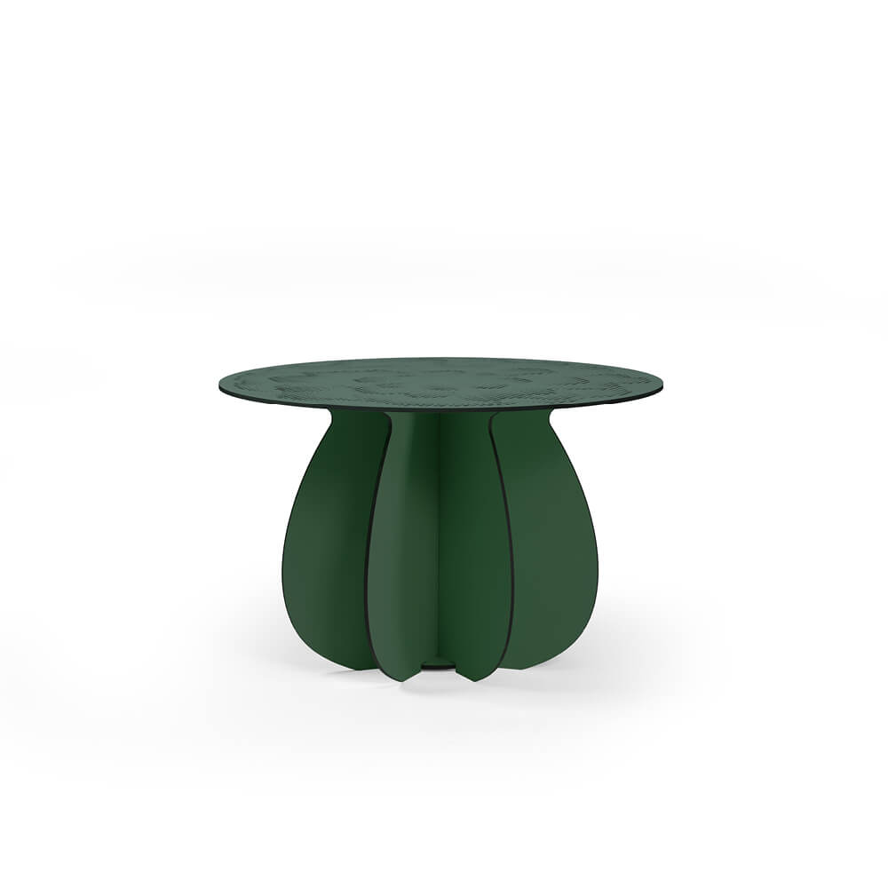 Parodia Magnifica utebord Ø55cm 8